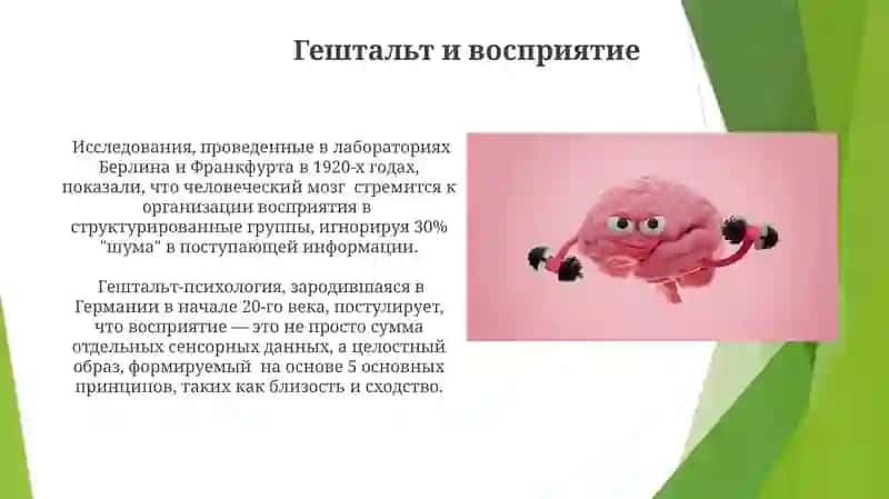 Гештальпсихология 4