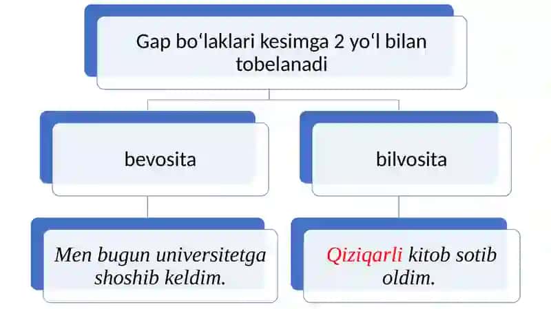 Kesim va uning tasnifi 4