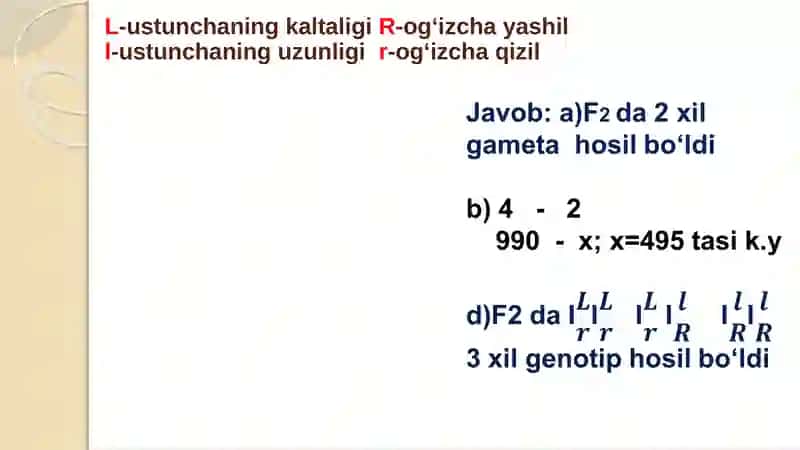 O'zgaruvchanlik 4