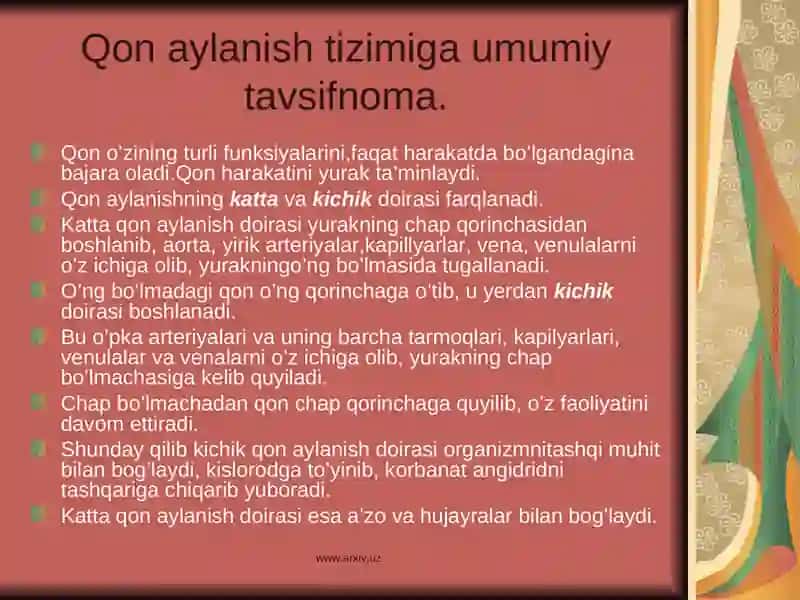 Yurak haqida umumiy tushuncha 4