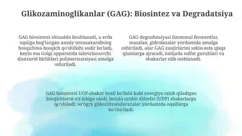 Mukopolisaxaridlar va ularning biologik ahamiyati 4