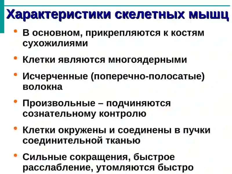 Общая миология 4
