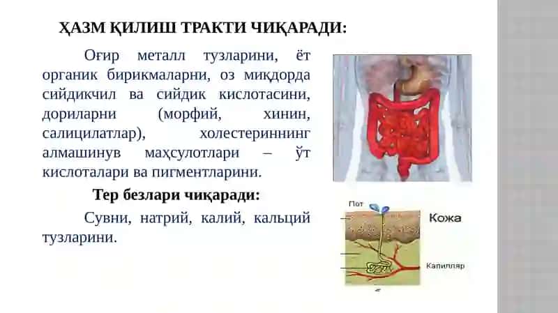 Органларди нозорати 4