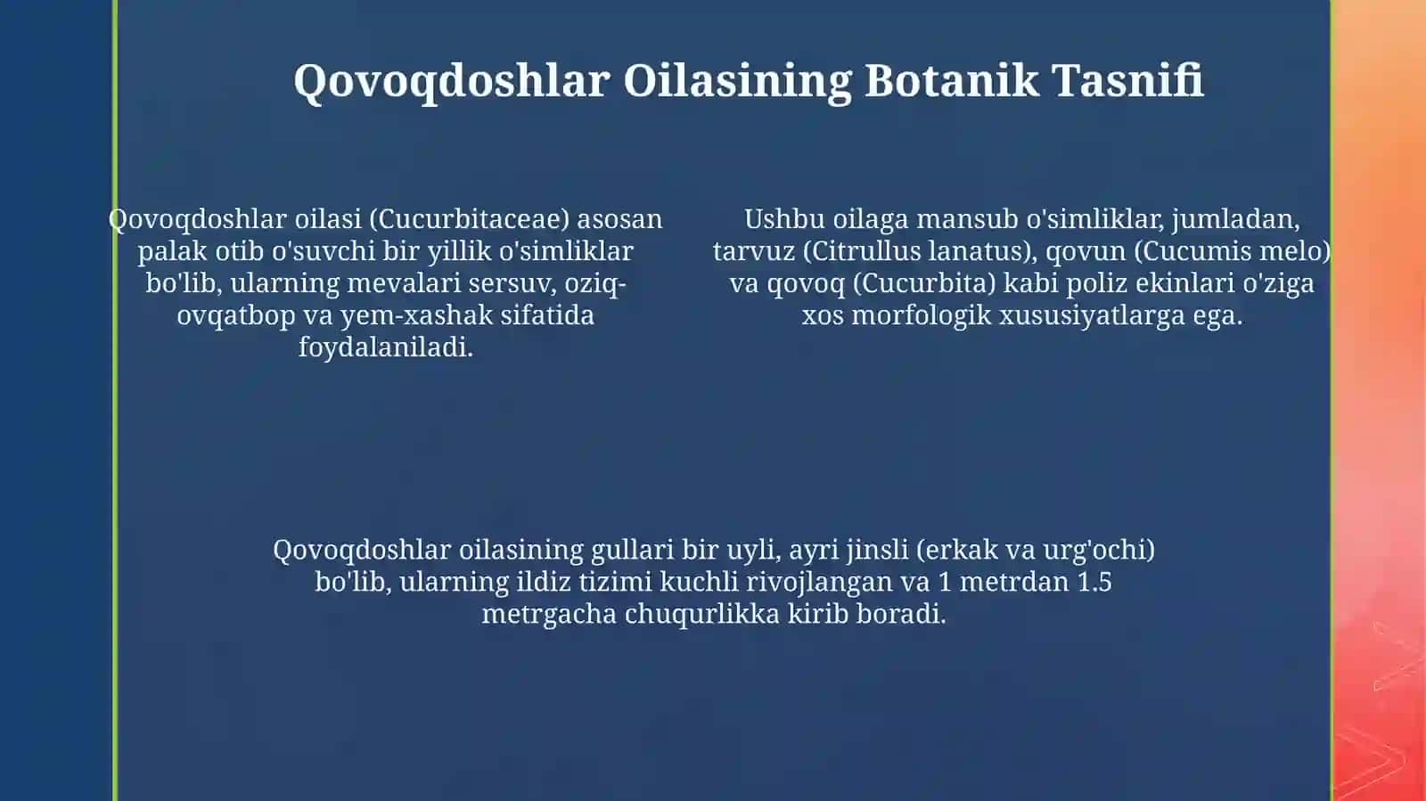 Poliz ekinlarining botanik tasnifi va navlari 4