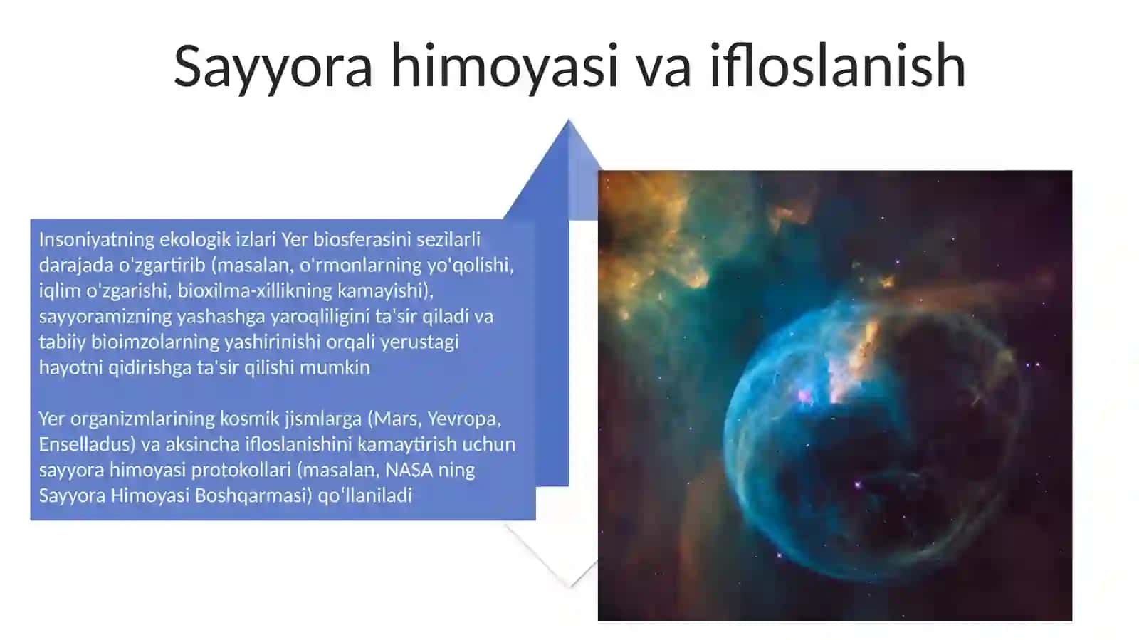 Koinot inson va ekologiya 4