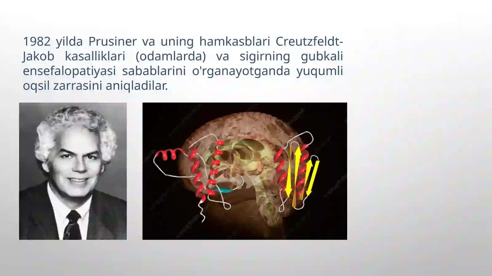 MIKROBIOLOGIYAFANIDAN MUSTAQIL ISHI 4