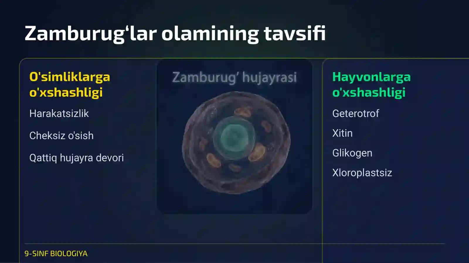 Zamburug‘lar dunyosi 4