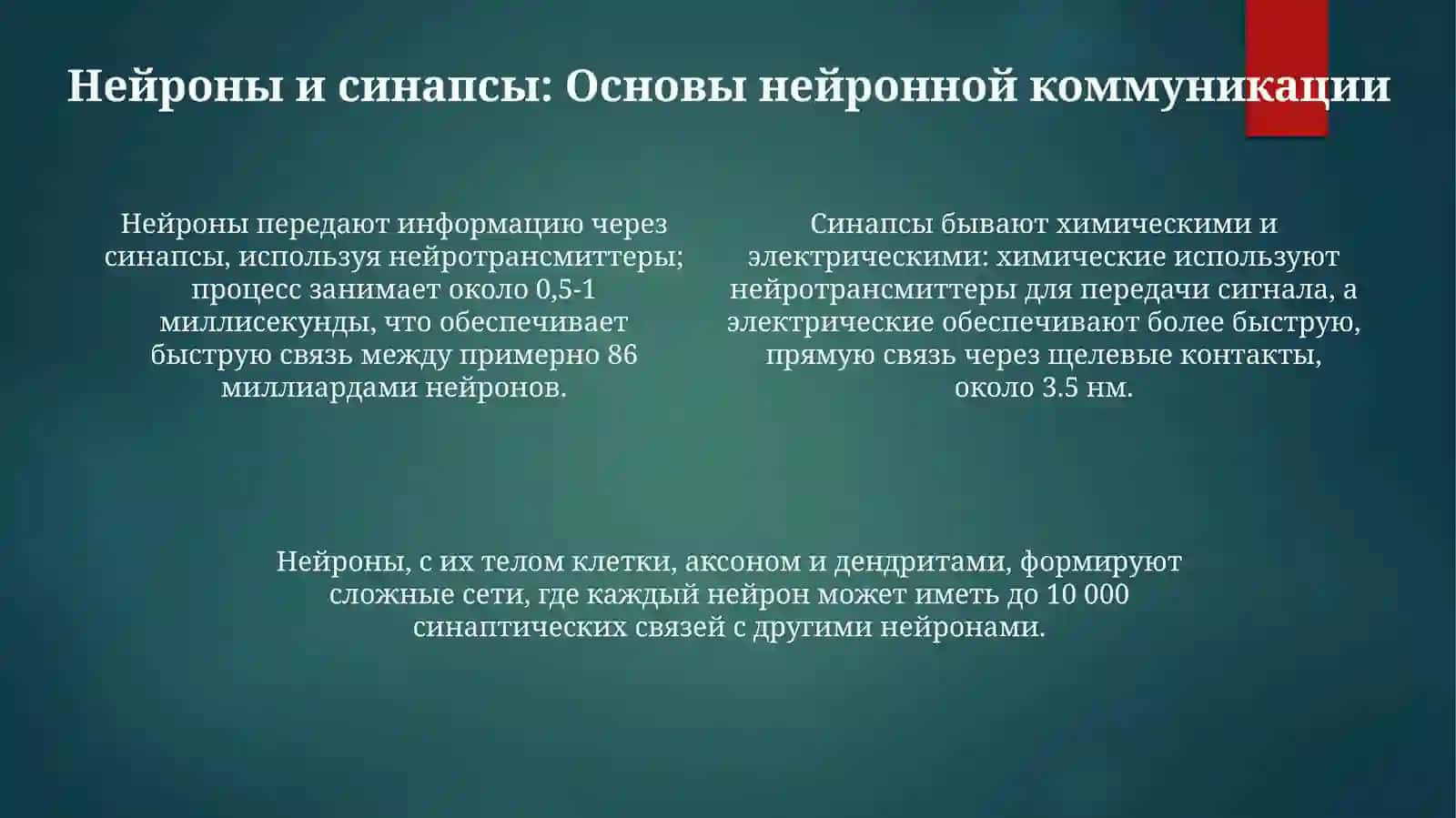 Mavzu: головной мозг 4