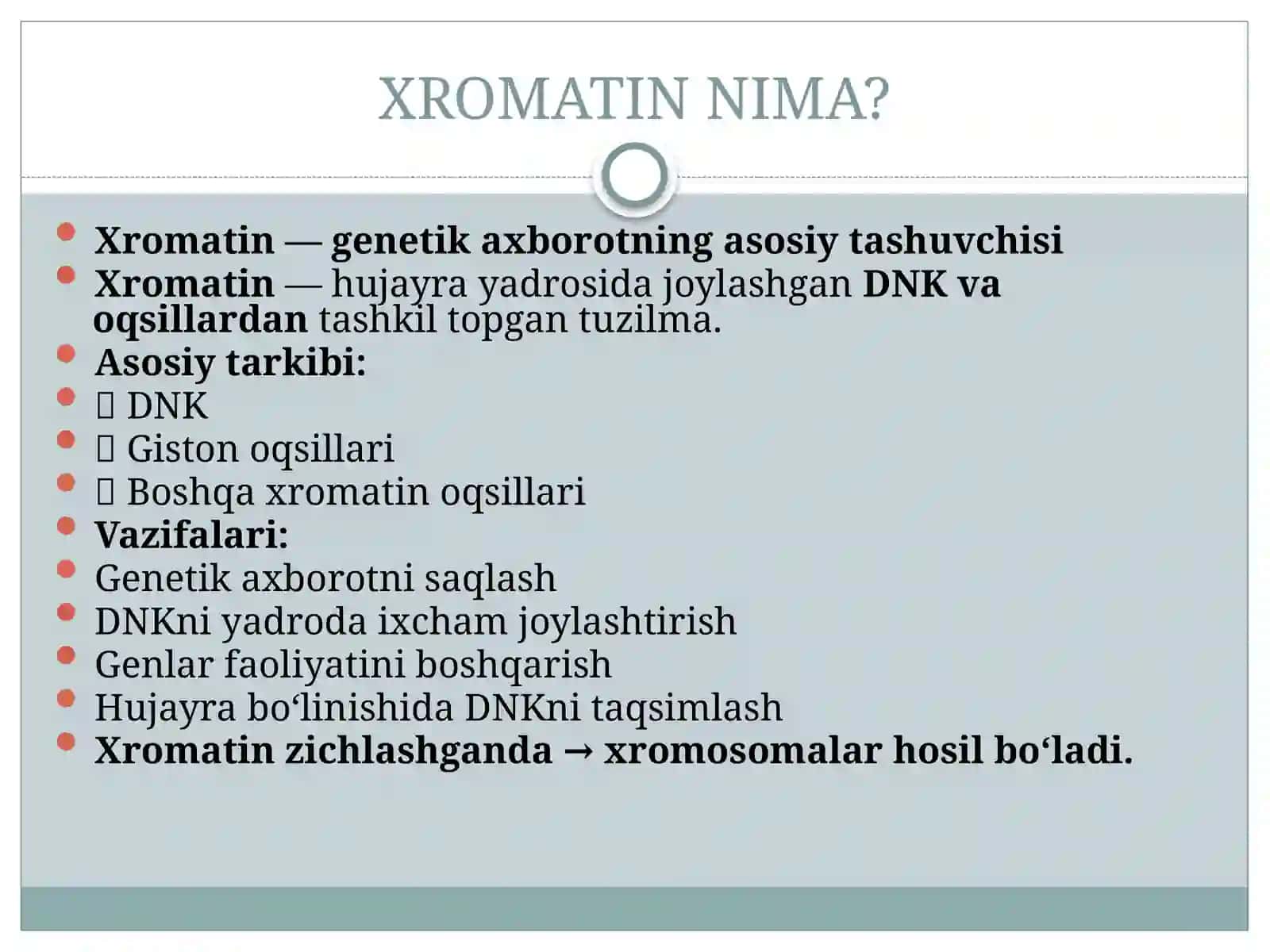 Hujayrasikli, mitoz va meyoz 4