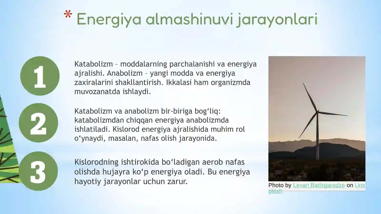 Modda va energiya almashinuvi 4