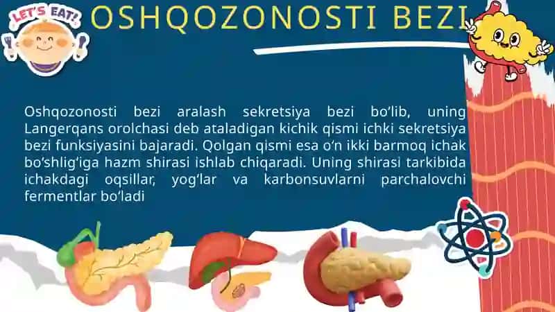 Ovqat hazm qilish sistemasi 4