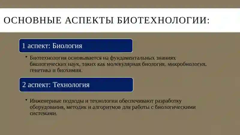 Биотехнология в медицине 4