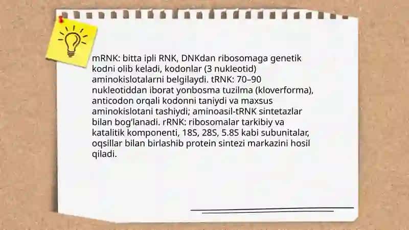 DNK va RNK 4