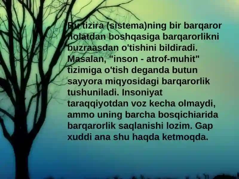 KOEVULYUTSIYA "XXI ASRGA KUN TARTIBI" MING YILLIK DEKLORATSIYASI 4