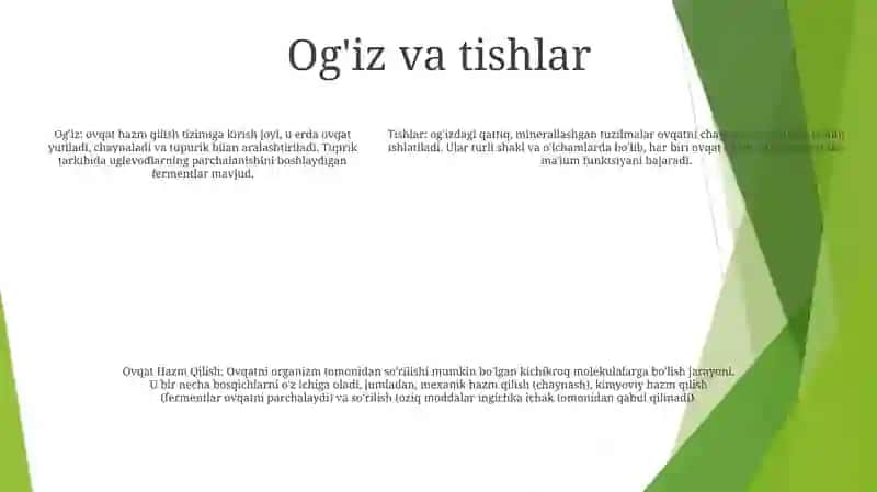 Ovqat Hazm Qilish 4