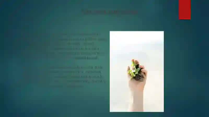 Sug'orish tizimlarining taqqoslash tahlili 4