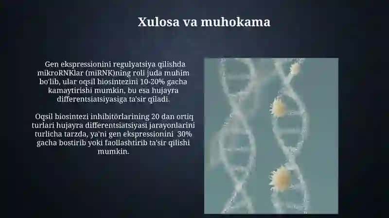 Oqsil biosintezi ingibitorlari 4