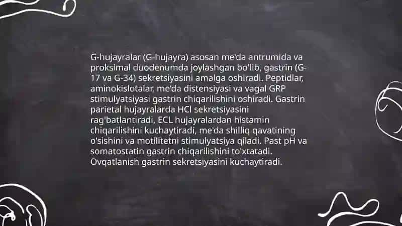 Me'da, ichak nayining endokrin hujayralari 4