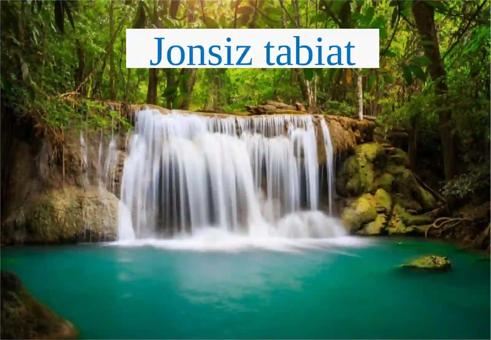 Jonli va jonsiz  tabiatni o‘rganamiz. 4