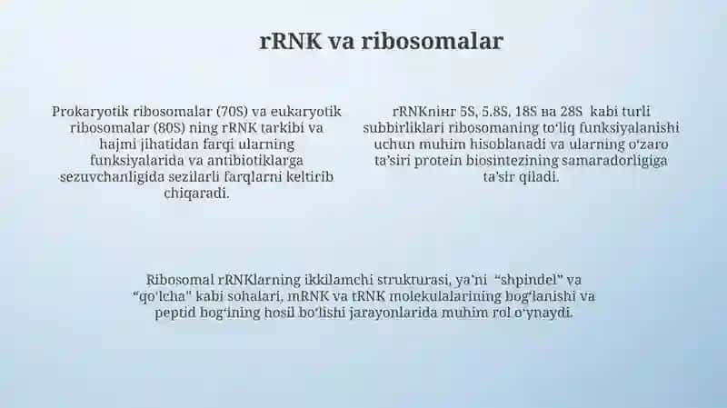 Aminokislotalar va oqsillar biosintezi 4