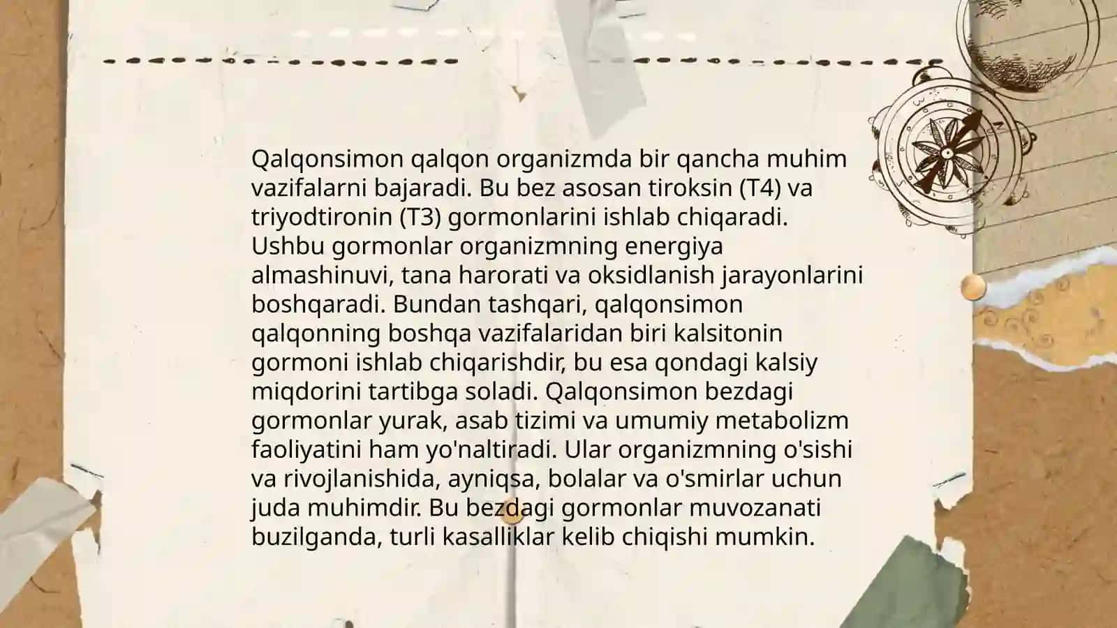 Qalqonsimon qalqon anatomiyasi 4