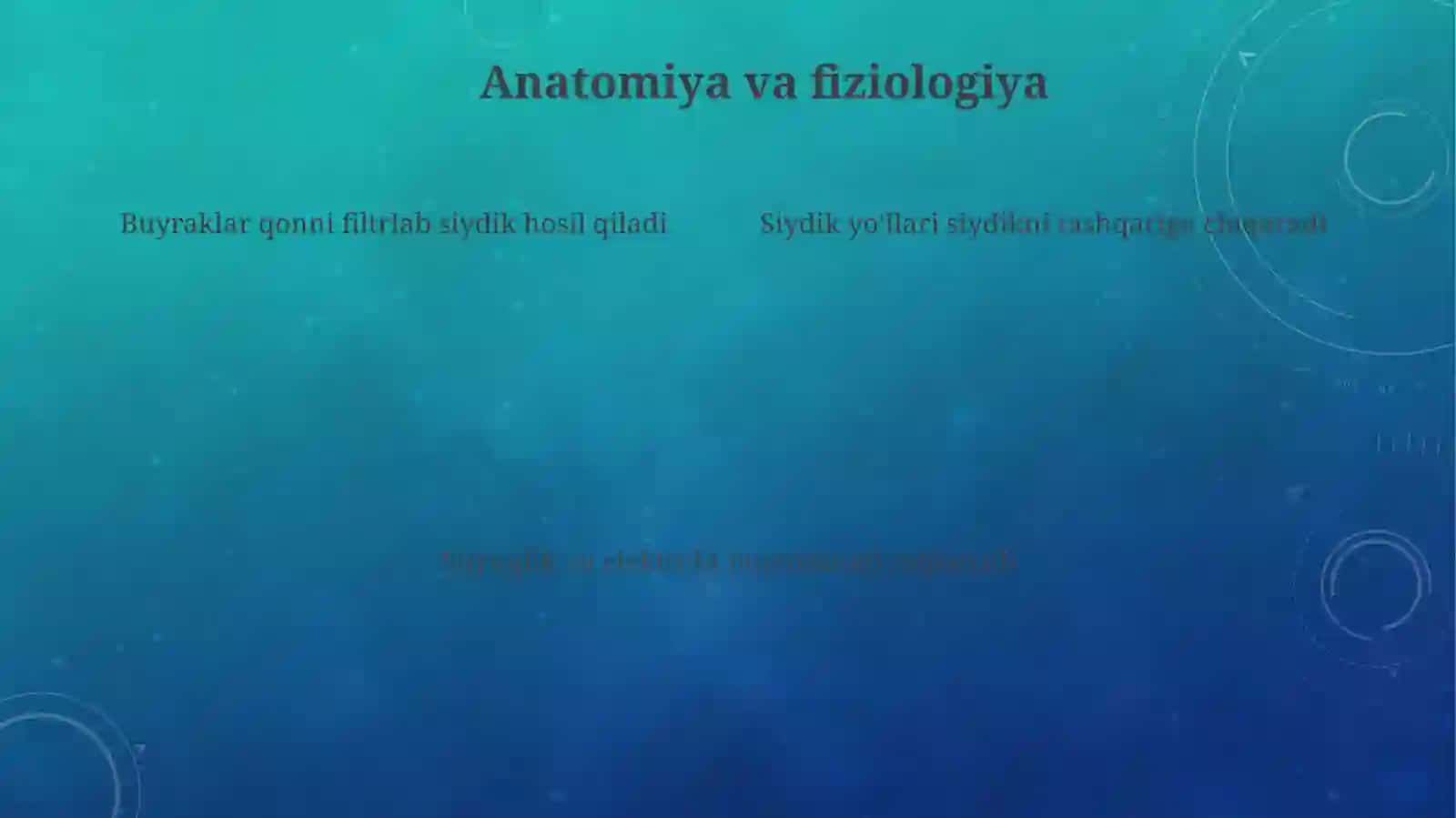 Buyrak va peshob tizimi 4
