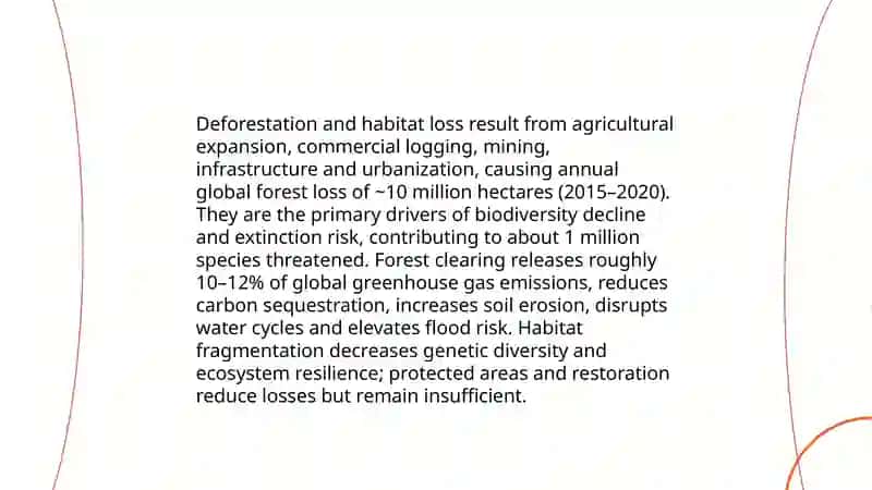 Ecological problems of the world 4