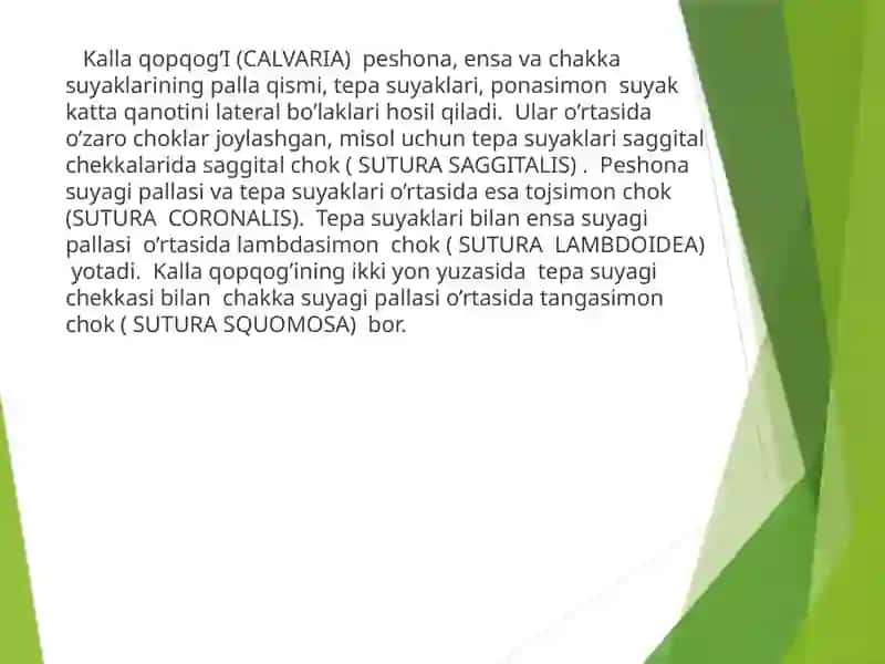 Butun Kalla 4