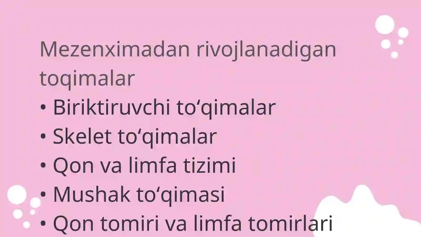Mezenximaning tuzilishi va axamiyati 4