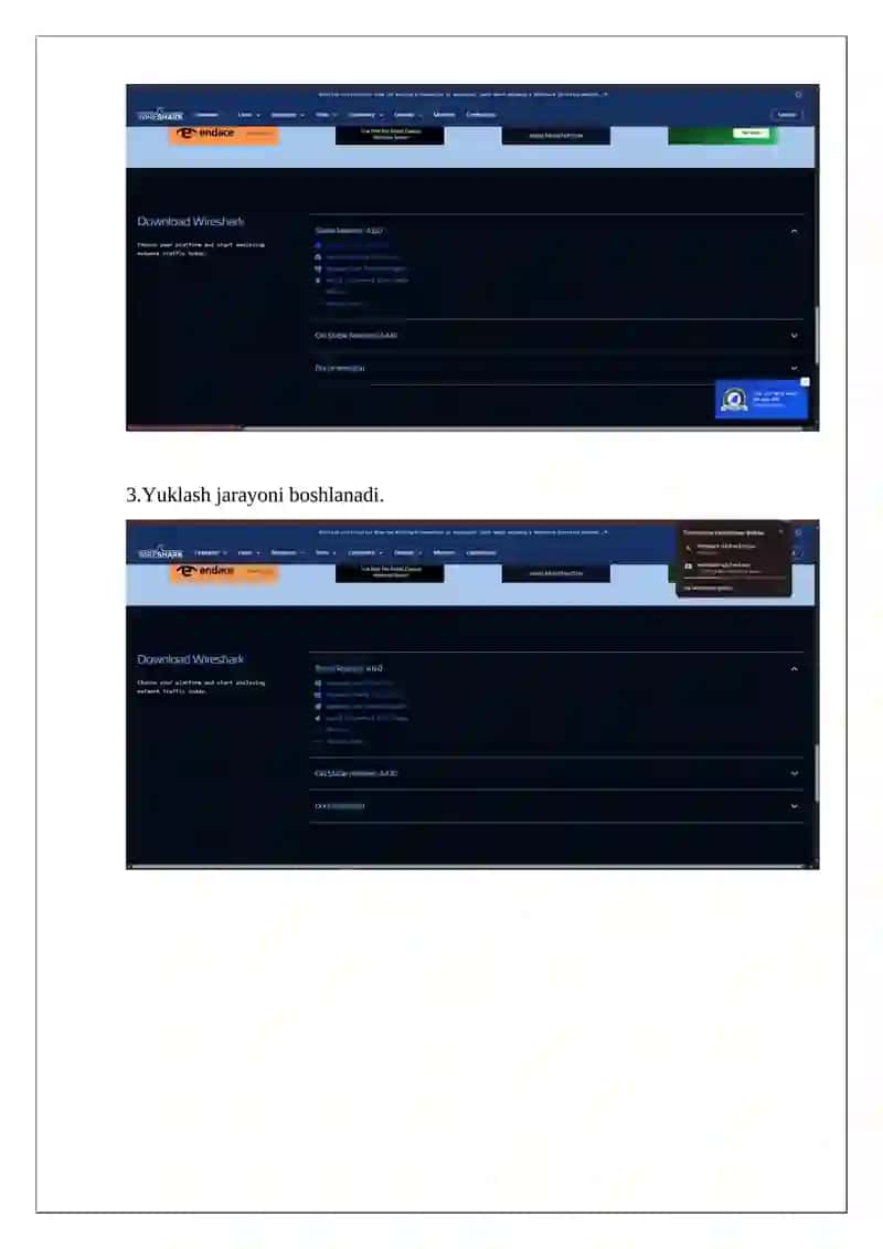 Lokal tarmoq texnologiyalari: Ethernet, Fast Ethernet. Tarmoq snifferlari yordamida paketlarni tahlil qilish 4