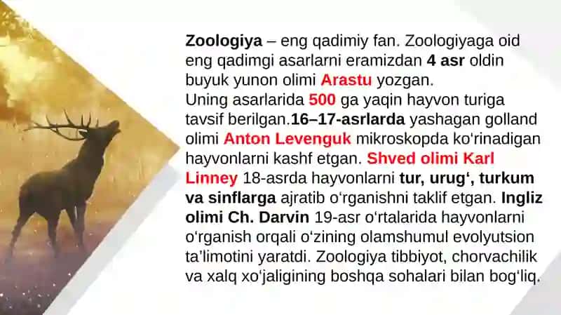Hayvonlarning tuzilishi va funksiyasi 4
