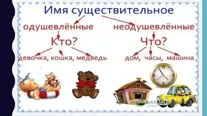 Имясуществительноеродчислоодушевлённость/неодушевлённостьпадеж 4