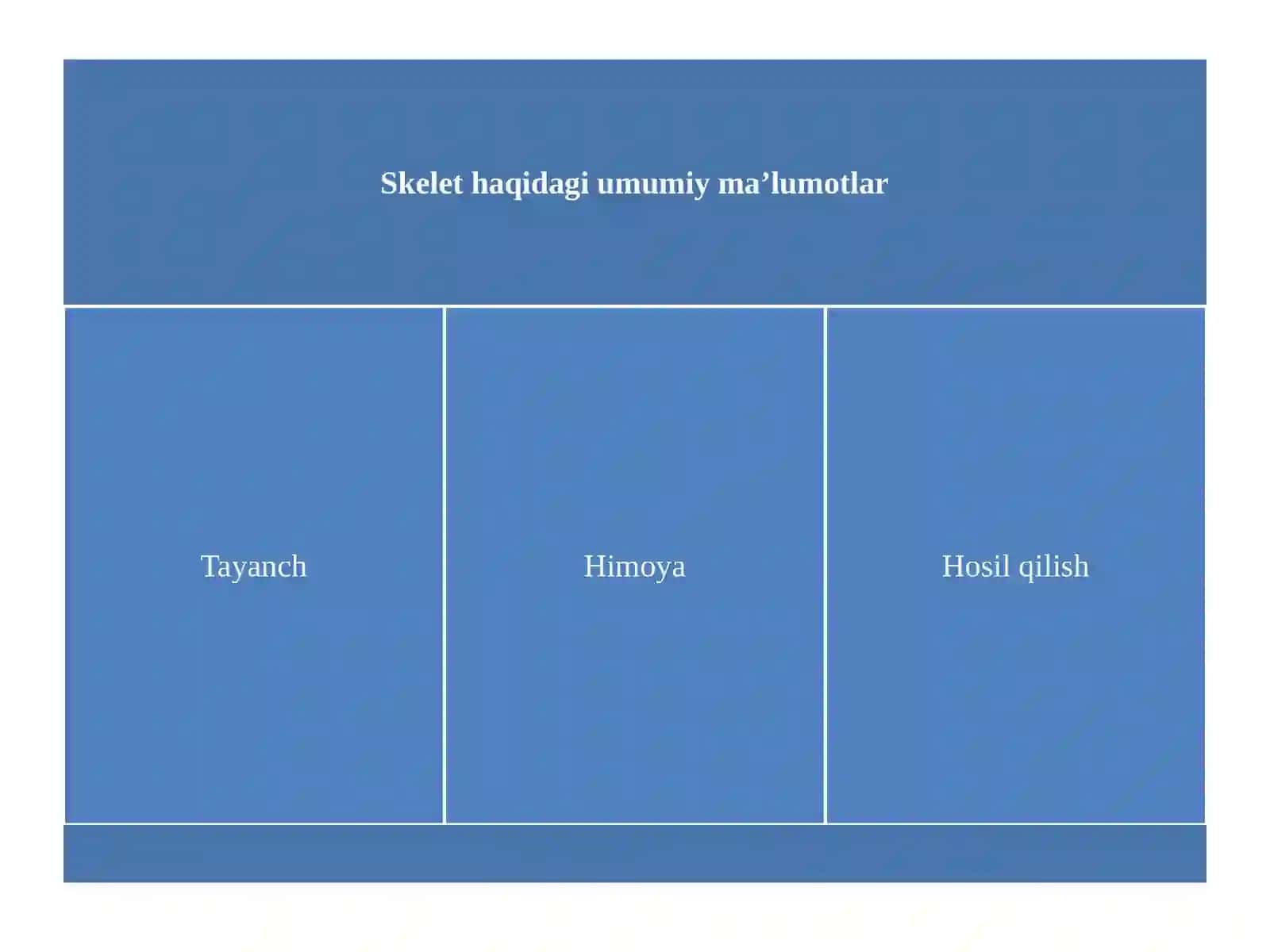 TAYANCH – HARAKAT SISTEMASI 4