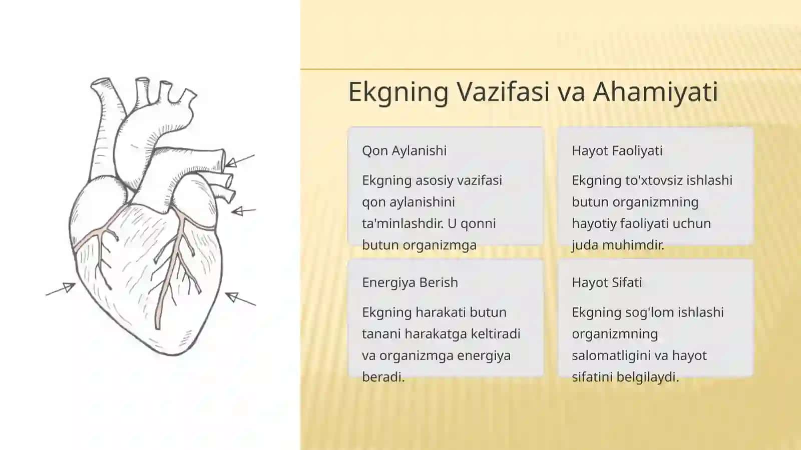 Yangi Tug'ilgan Chaqaloqlarda Ekgning Rivojlanishi 4