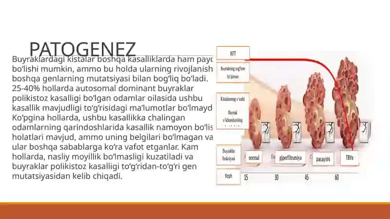 Nasliy Nefropatiyaar pptx Buyraklar polikistozi 4