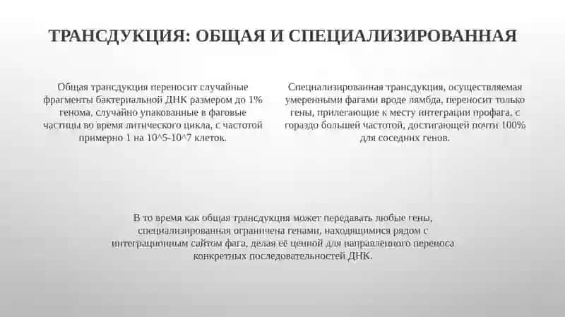 Трансформация и Трансдукция 4
