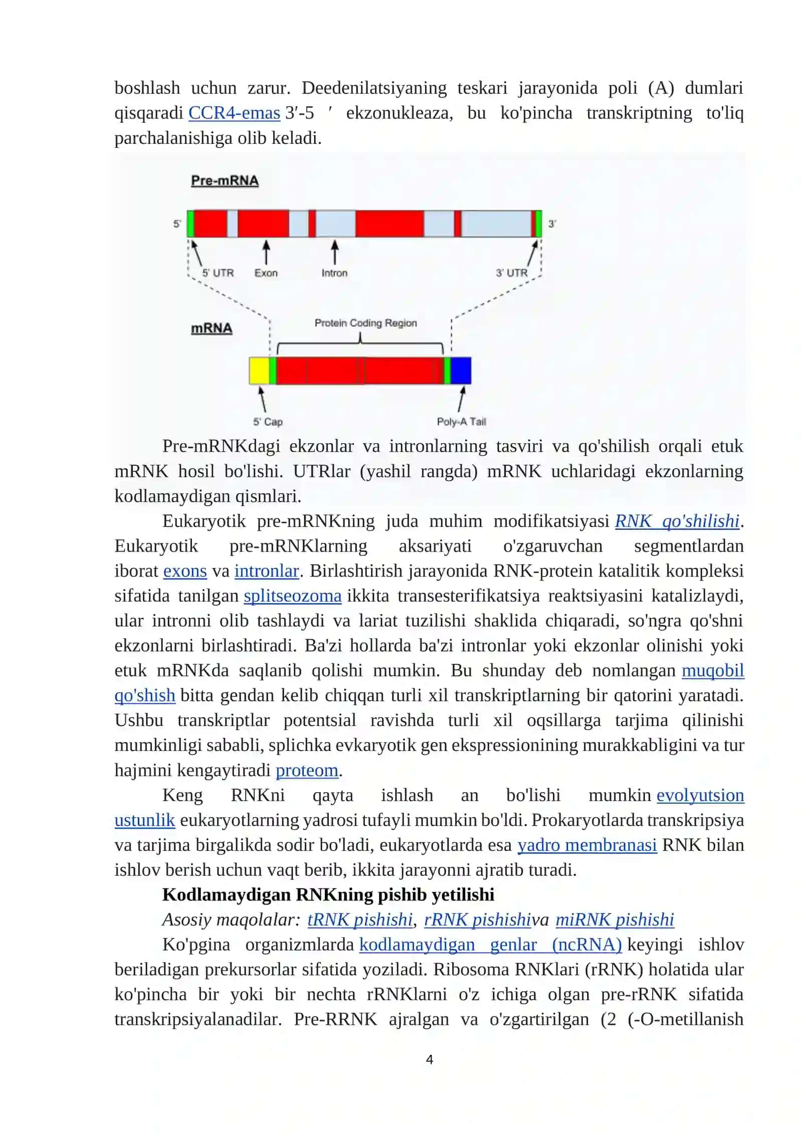 Gen ifodasidan ma'lumot olish jarayoni 4