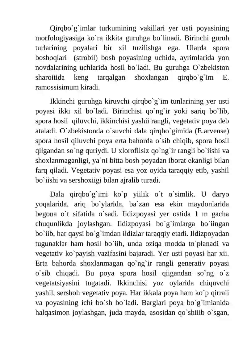 Qirqbо`g`imtoifa (Equisetophyta) bо`limi. 4