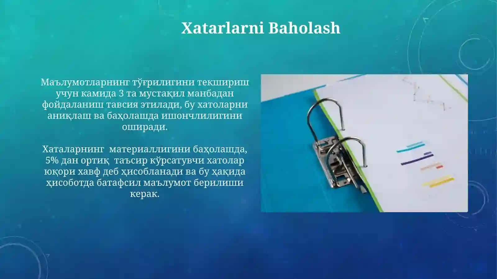 auditorlik xisoboti 4
