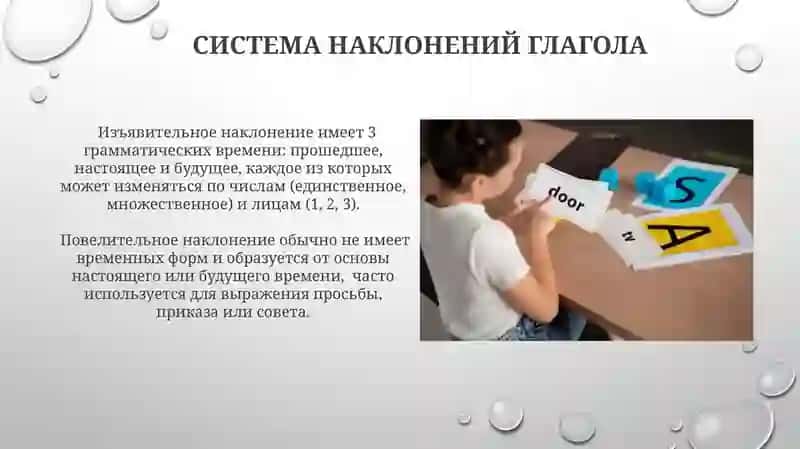 Глагол.Падежная система 4
