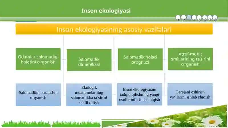 Inson ekologiyasi 4