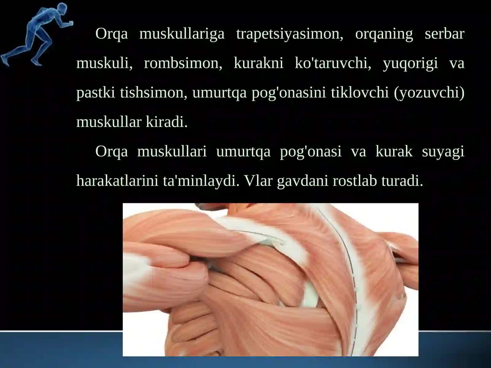 Qo’l va oyoq muskullarining tuzilishi 4