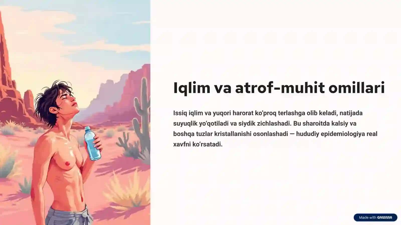 Buyrakda tosh hosil bo'lishi sabablari va mexanizmlari 4