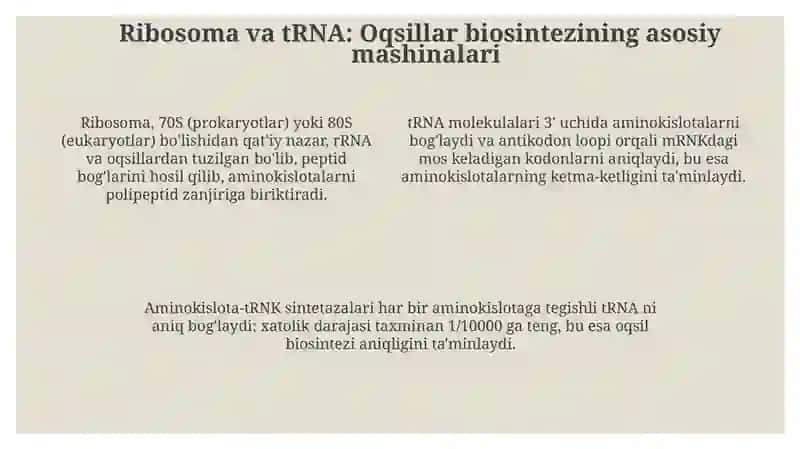Oqsilbiosintezi 4