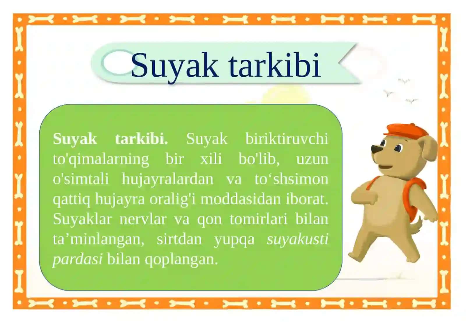 Suyaklarning tuzilishi va o'sishi 4