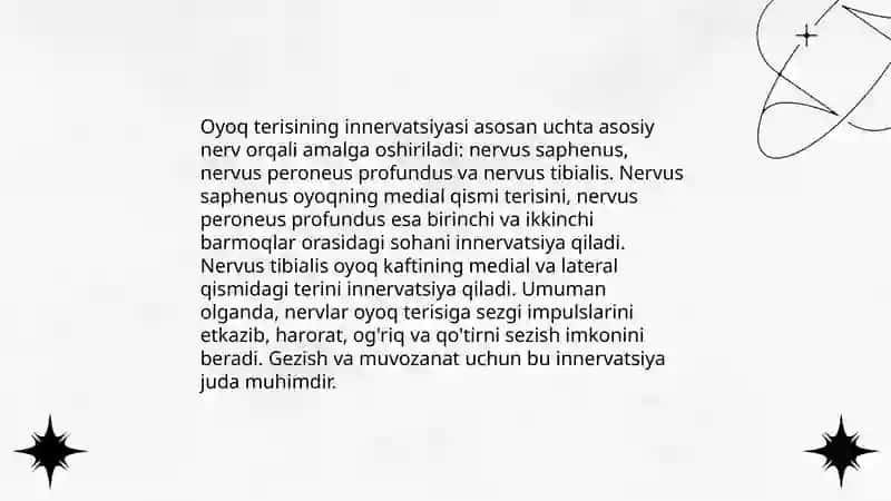 Qo'l va oyoq terisining inervatsiyasi 4