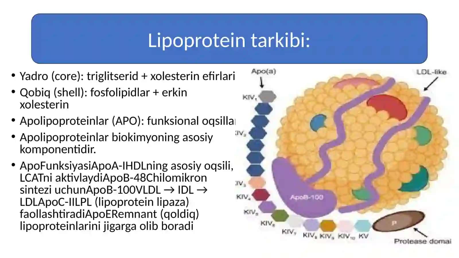 Dislipoproteinemiya 4