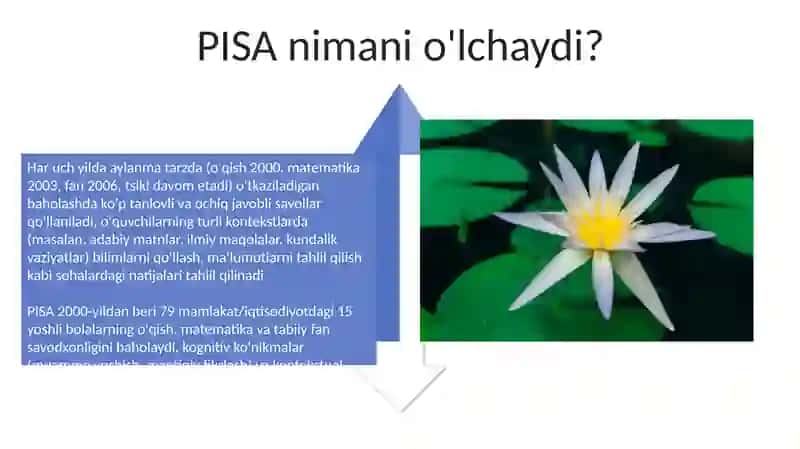 Pisa xalqaro baholash dasturi mazmun va mohiyati 4