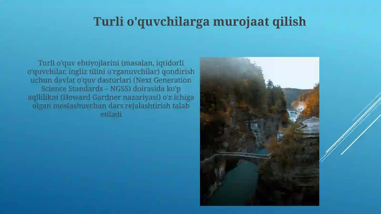 Davlat Ta'lim Standartlarini Belgilash 4