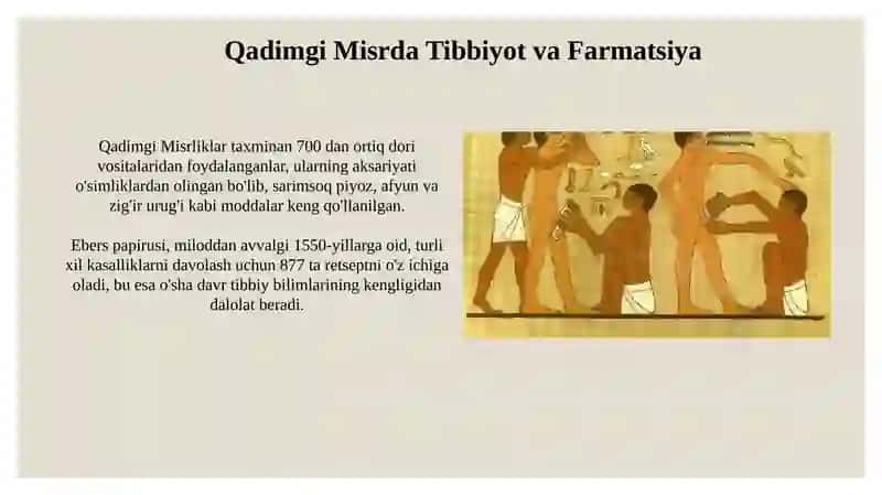 Qadimgi Sivilizatsiyalarda Tibbiyot 4